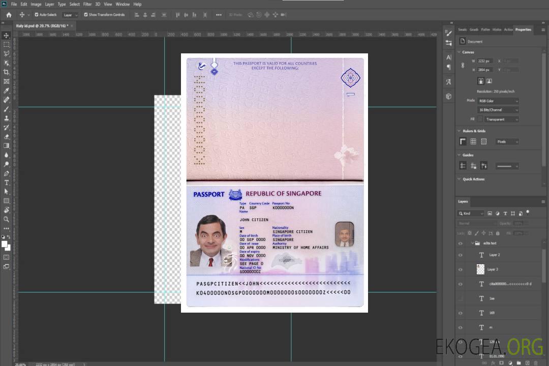 Nouveau pass pour Singapour (2017+) template
